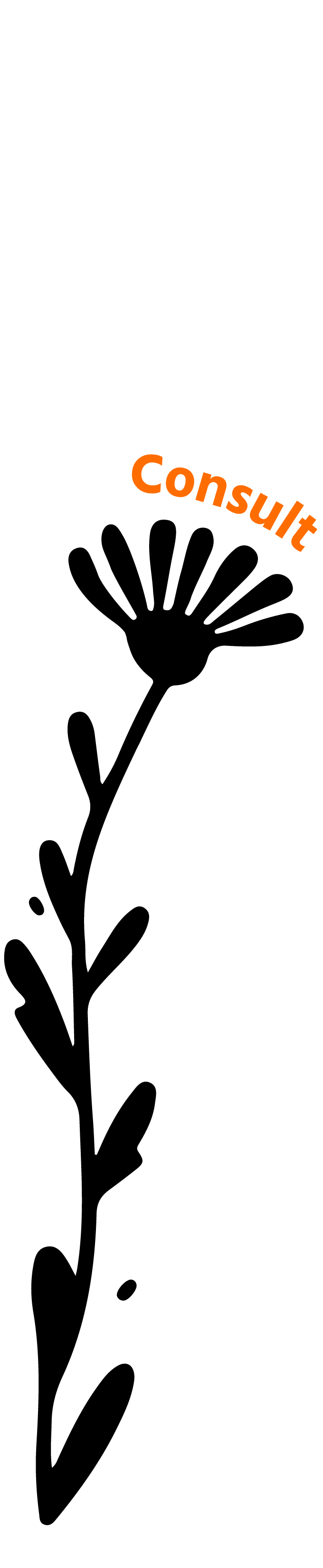 Calendula